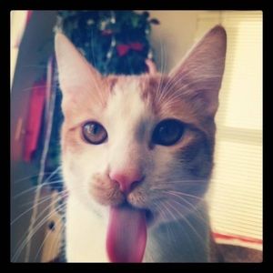 Meet your Posher, Crystal